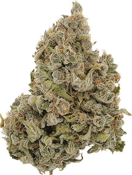 Banana Muffins image 1